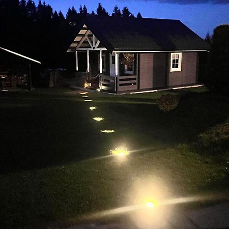 Haeuslein-Waldesruh Villa Muldenberg Eksteriør billede